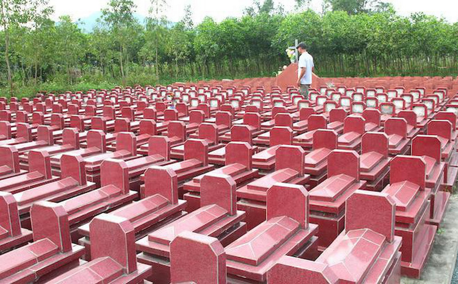 Thế nào là động mộ